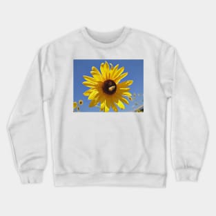 Bee on a Sunflower Painting Crewneck Sweatshirt